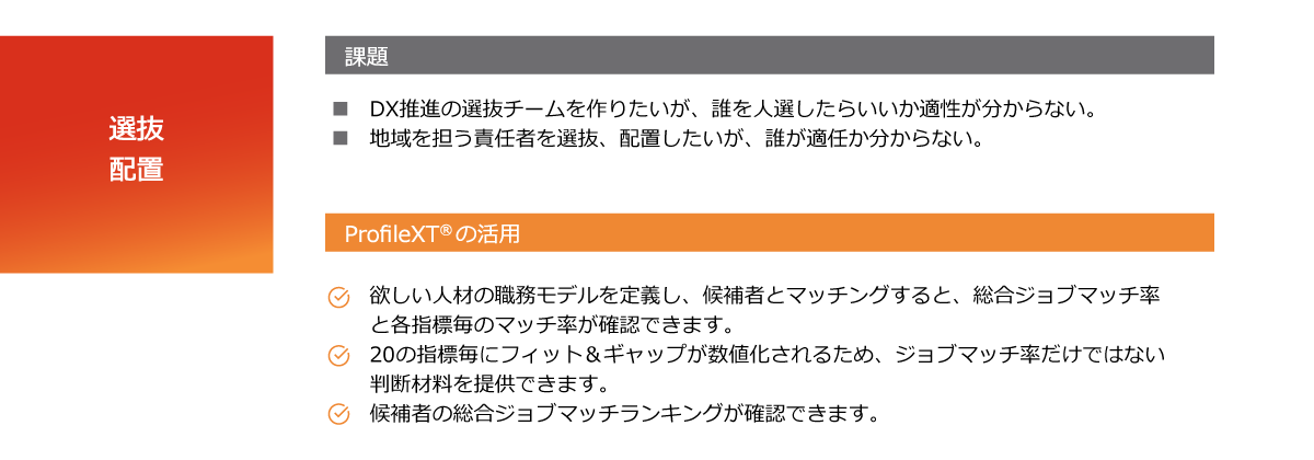 ProfileXT<sup>®</sup>の活用 選抜・配置