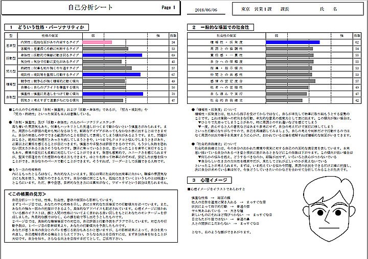 帳票イメージ（自己分析シート）