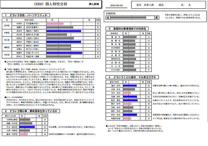 帳票イメージ（個人特性分析シート）
            