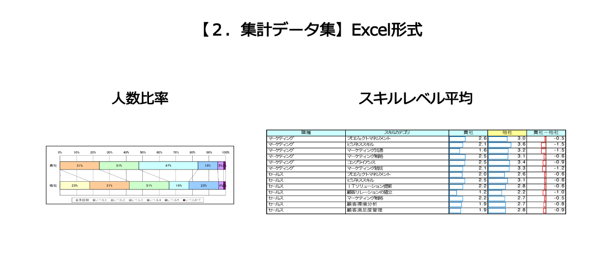 Knowledge Co-Creating人材力診断コンサルサービス全体像
          