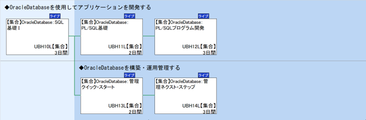 ◆OracleDatabaseを使用してアプリケーションを開発する\n◆OracleDatabaseを構築・運用管理する