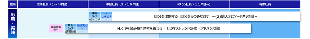 適応力(応用・実践)コースマップ