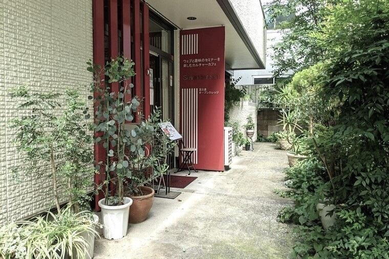 harajuku-img05.jpg